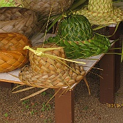 Picture 022
